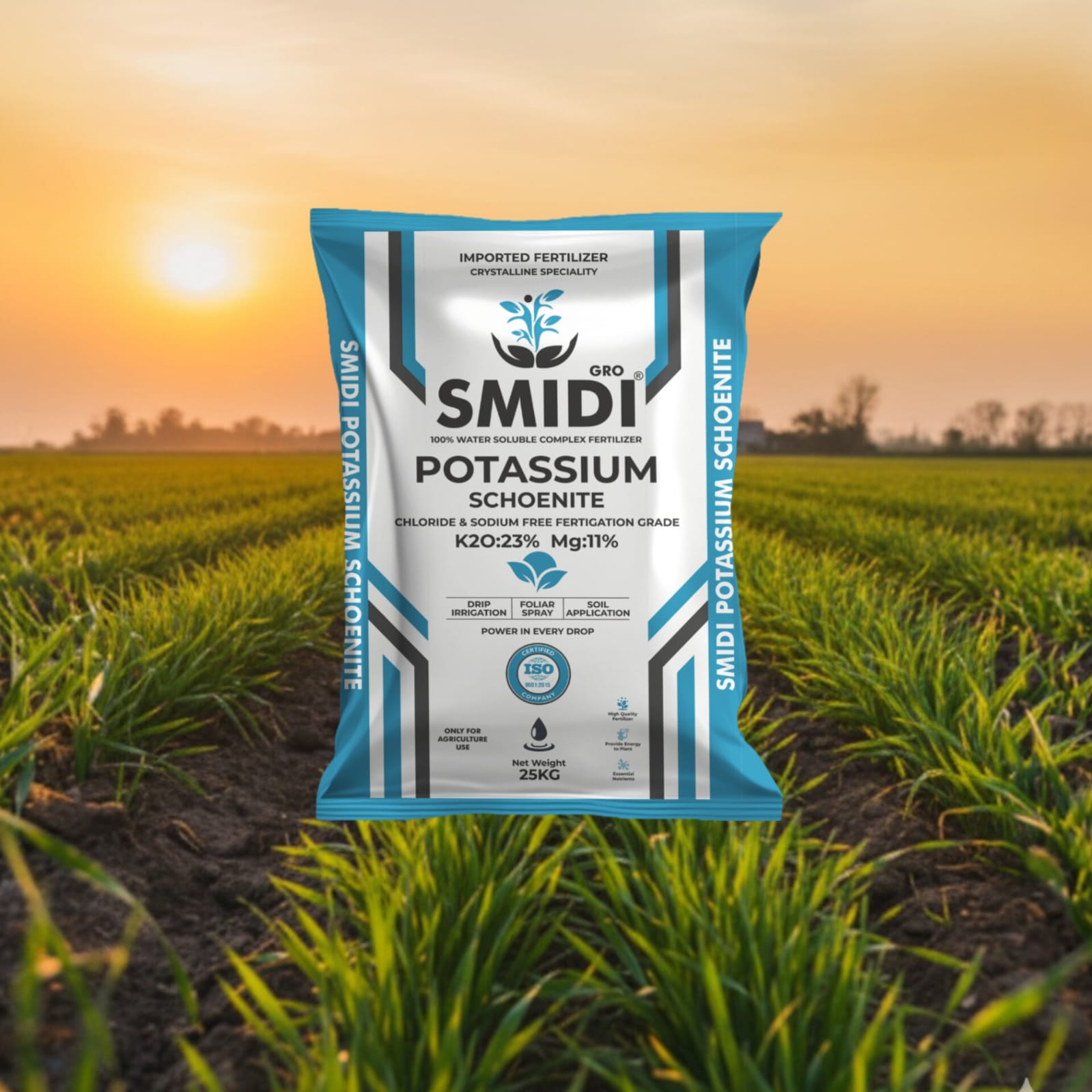 Controlled Release Fertilizers